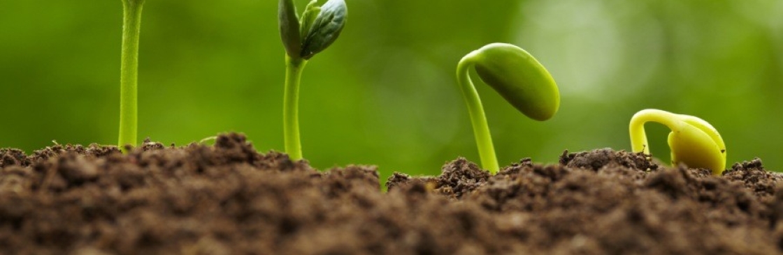 BRYSON MAHUVI Cover Image